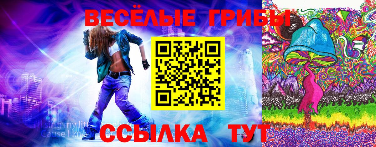 Псилоцибиновые грибы Cubensis Добрянка