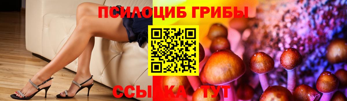 наркошоп  Вход с VPN  Добрянка  Галлюциногенные грибы MAGIC MUSHROOMS 