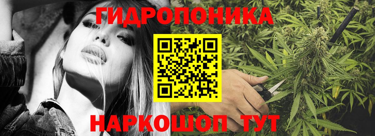 Конопля план  Вход с VPN  МАРИХУАНА SATIVA & INDICA  Шишки марихуана White Widow  Добрянка  Шишки марихуана MAZAR 
